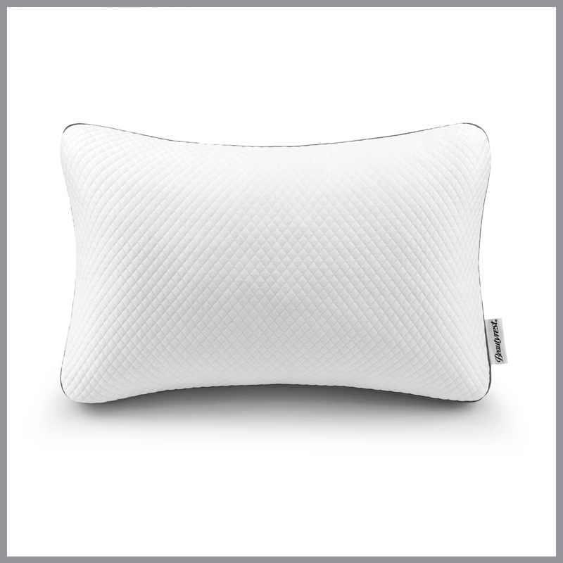 Beautyrest Absolute Rest Pillow
